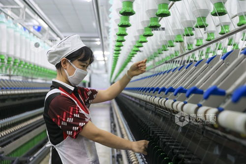 江西瑞昌 數字工廠助力產銷兩旺，針織品及原料批發蓬勃發展