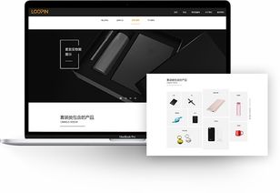 包裝行業(yè)網(wǎng)站建設(shè) 樂品官網(wǎng)建設(shè) 禮品行業(yè)網(wǎng)站開發(fā) 上海網(wǎng)站建設(shè)公司 邁若網(wǎng)絡(luò)網(wǎng)站設(shè)計案例
