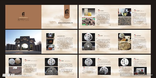 茶葉產(chǎn)品畫(huà)冊(cè)設(shè)計(jì)圖